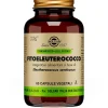 Solgar Fitoeleuterococco 60 Capsule Vegetali