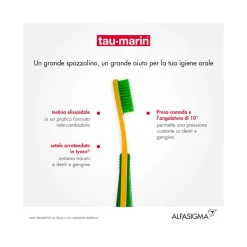 Spazzolino Taumarin Magnum Medio