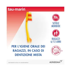 Taumarin Spazzolino Joy