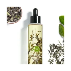 Teaology Bancha Oil 100ml