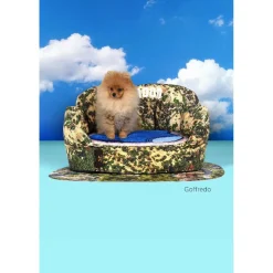 United Pets Set Doggymood Cuccia + Tappetino Sottocuccia