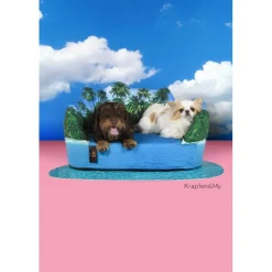 United Pets Set Maldive Cuccia + Tappetino Sottocuccia