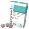 Uryvet Evo 1500mg Mangime Complementare Per Cani e Gatti 32 Compresse
