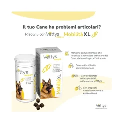 Vettys Integra Mobilità Per Cani Taglia XL 30 Compresse