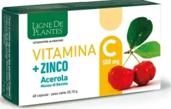 VITAMINA C 500MG+ZI/AC/BA60CPS