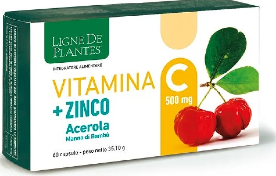 VITAMINA C 500MG+ZI/AC/BA60CPS