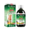 Winter Planta Slim 12 Erbe 500ml